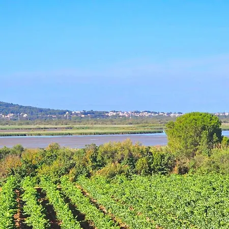 Villa Le Paradis De Mimose Marseillan (Herault)