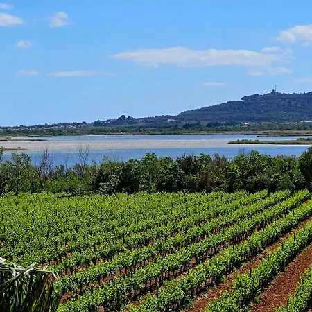 Le Paradis De Mimose فيلة *